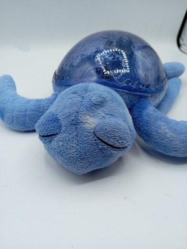 Cloud schildkröte - cloud,