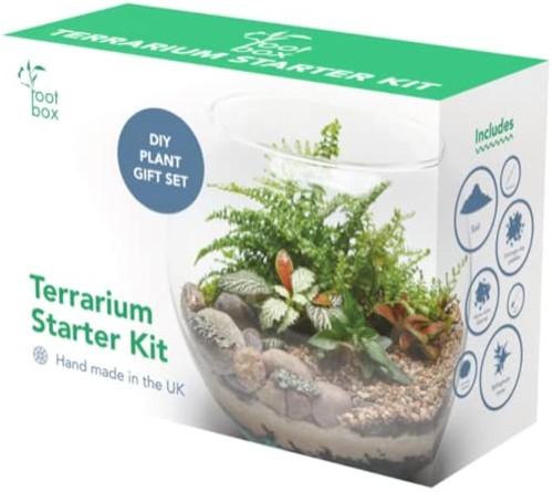 Wurzelbox terrarium - wurzelbox,