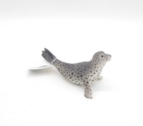 Spotted seal robbe seehund - robbe,