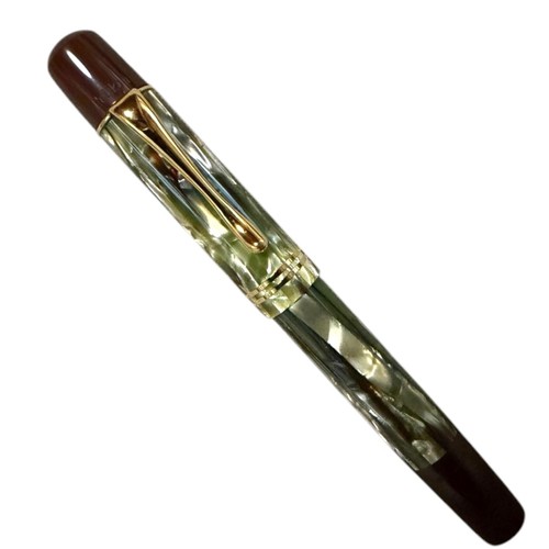 Pelikan m101n tortoise - pelikan,