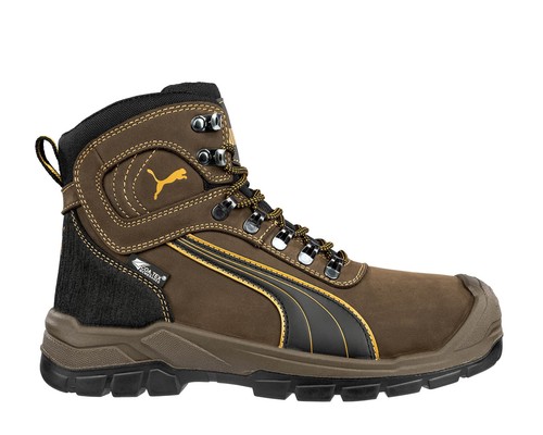 Puma safety sierra nevada - safety, st