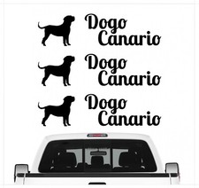 Dogo Canario Molosser Presa