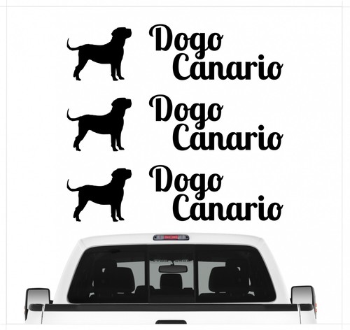 Dogo canario molosser presa - molosser,
