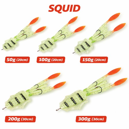 Rhino squid glow tintenfisch - rhino,