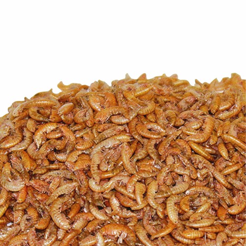 Bachflohkrebse 2 kg - bachflohkrebse,
