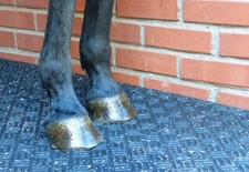 Stallmatten Gummimatten