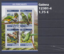 Papageien Sittiche Guinea 12301-4