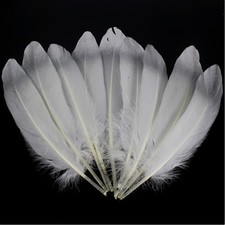 15-20cm 50pcs Silvery White