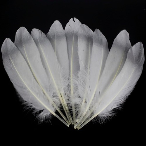 20cm 50pcs silvery - 50pcs,