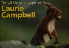 The Wildlife Photographs of