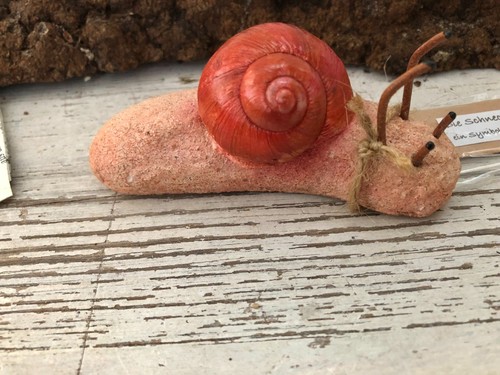 Dekoschnecke natürlichem - m.,