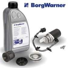 BORGWARNER Set Vorladepumpe