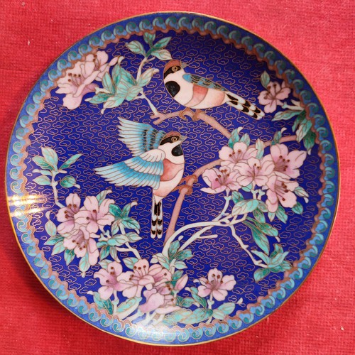 Chinesische sammelteller - chinesische,