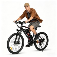 Elektrofahrrad 24''