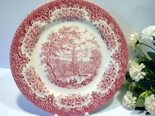 Speise Teller rot Dekor River