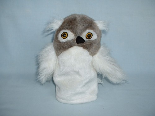 Living nature owl bird hand - owl,