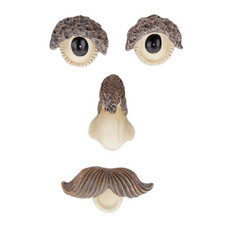 Baumgesicht, Baumstamm