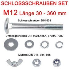 Schlossschrauben SET M12