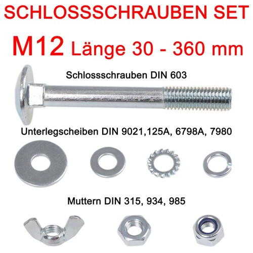 Schlossschrauben set m12 - set,
