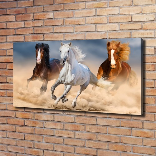 Leinwandbild kunst druck - leinwandbild, kunst-druck