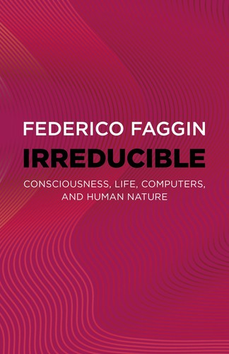 Federico faggin irreducible - faggin,