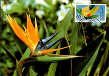 BRD 1983 MK Maximumkarte