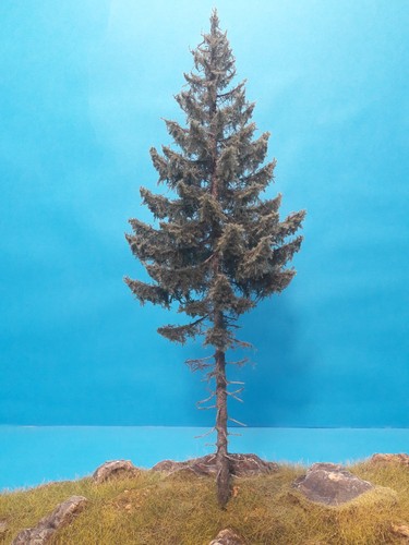 Modellbaum-Hochstammfichte-ca