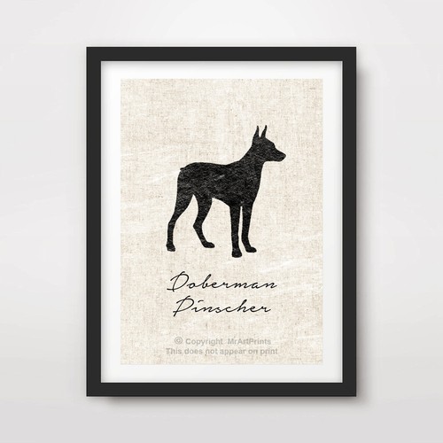 Doberman pinscher hund - doberman,