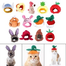 Hund Katze Hut Warme