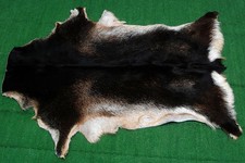 Luxus Ziegenfell Teppich Haar