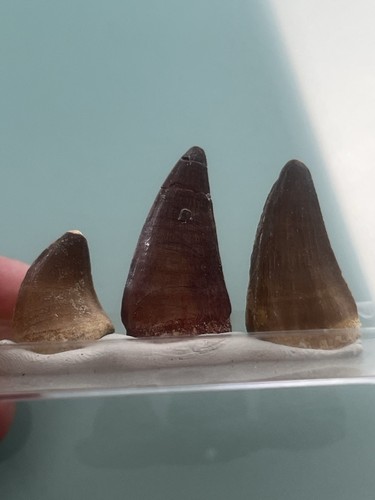 Mineralien edelsteine und - mineralien,