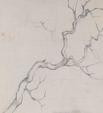 Johannes Hanse Ast Baumstudie