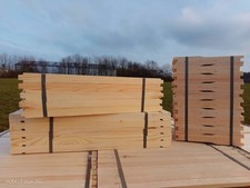 BeeHei Zander Hoffmann