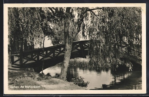 Lychen brücke und weide am - weide,