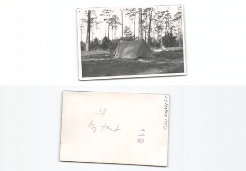 Amerikanische - (n782386),