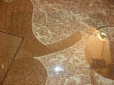  Glasplatte für Kühlschrank Privileg 52,0 cm x 17,0 cm