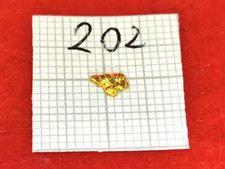 #202 Goldnugget Alaska Yukon