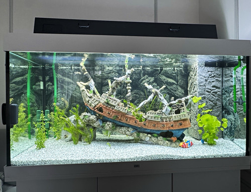 Juwel glas aquarium becken - juwel, glas-aquarium