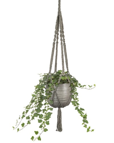 Scheurich hängetopf hanging - hängetopf,