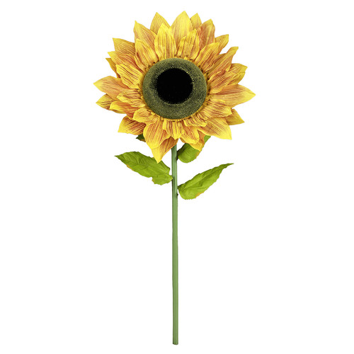 Riesen-Sonnenblume