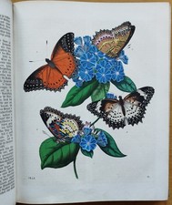 Buch der Welt Natur Geographie