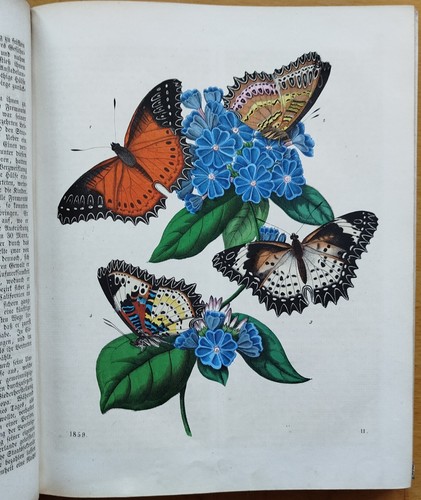 Buch der welt natur geographie - natur,