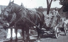 Berthelsdorf/  Barcinek, Kr