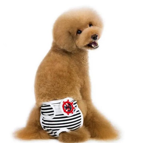 Hundewindel xl waschbar - hundewindel, s
