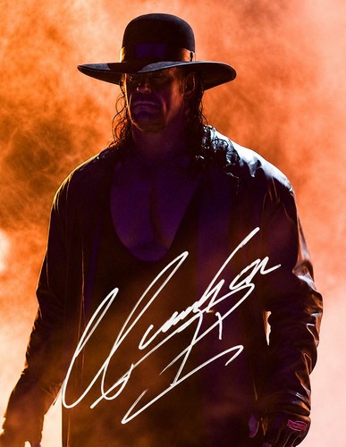 The undertaker - the,