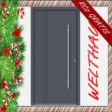Haustür Welthaus AKTION Tür