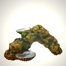 Aquarium Deko kleiner ❤️