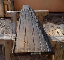 Moorholz,Mooreiche,Bohle,Drech