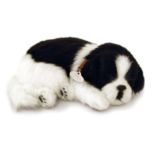 Perfect petzzz 96125 border - perfect,