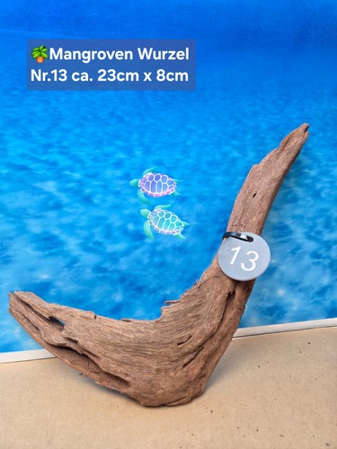 Mangroven aquarium - 🌴,